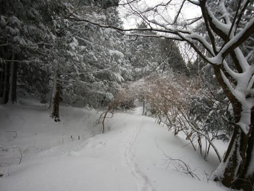 トレースを辿ってえっちらほっちら