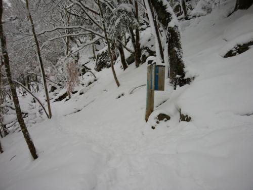 観音峰展望台を目指す