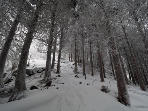 これもなかなかいい感じの斜面やね～