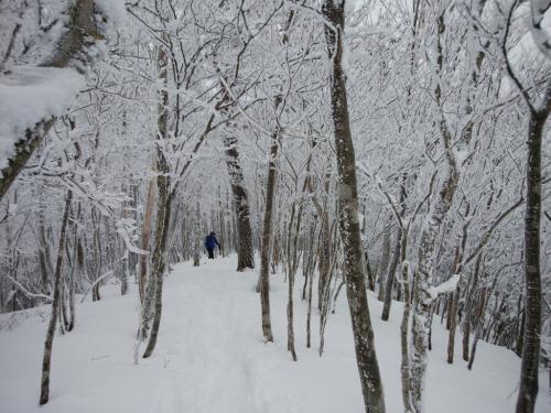 まるで霧氷のトンネルだ