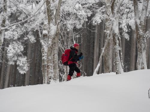 田村君に撮影してもらいました。雪山を登ってる感がでてる