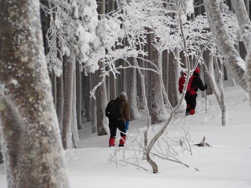 頂上までもうすぐ！えっちらほっちら登っていきます