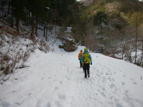 林道をひたすら進み