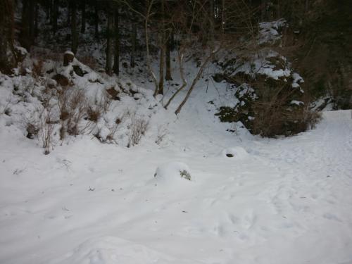 ここを登ります