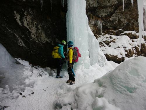 今年はツララが短いのね