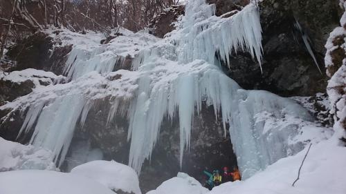 集合写真を撮っていただきました。ありがとうございました。