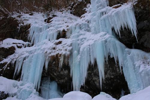 ここからはミラーレスでの撮影写真となります