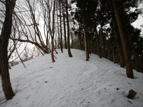 さてスタートしますか