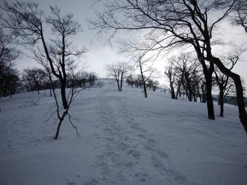 天気がなんかいまいち