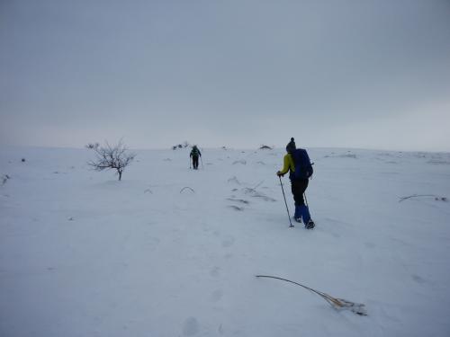 稜線にでたけど、天気がやっぱパッとしない
