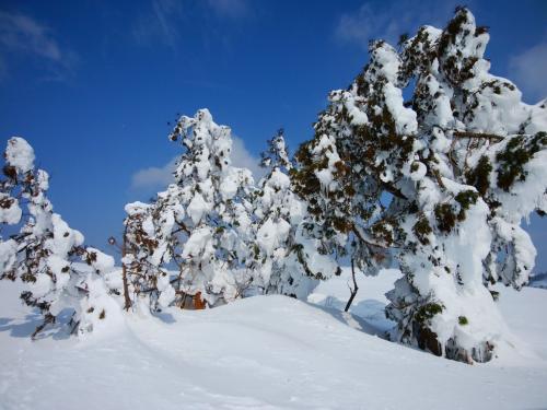 青空とモンスターを撮影してみる