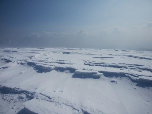 自然の造形といえばいいのか