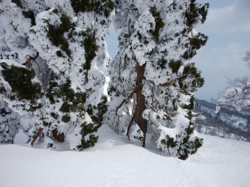 もう少し雪があればいいんだけど