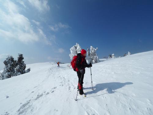 ここからは頂いた画像です