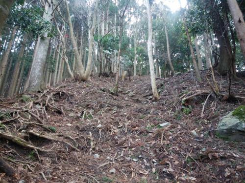 最初は相変わらずの急登が続く