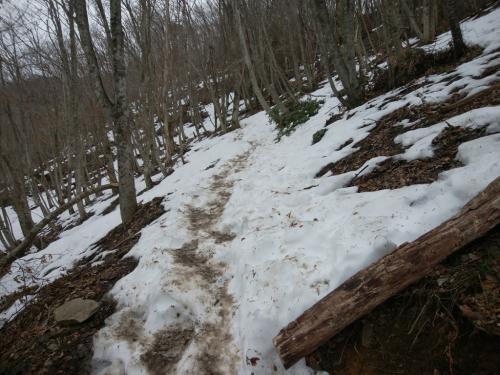 残雪期って感じやね～