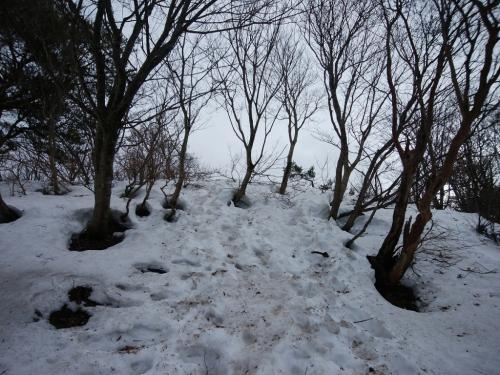 このあたりからすっかり雪