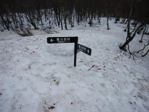 ここで夏道との合流