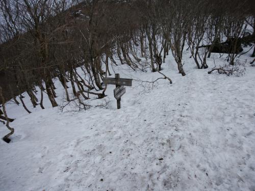 一旦、ワサビ峠まで下る