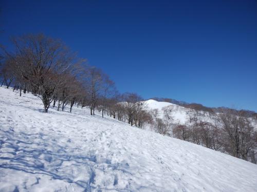 文句のない快晴！