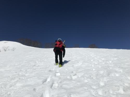 写真ありがとうございました。