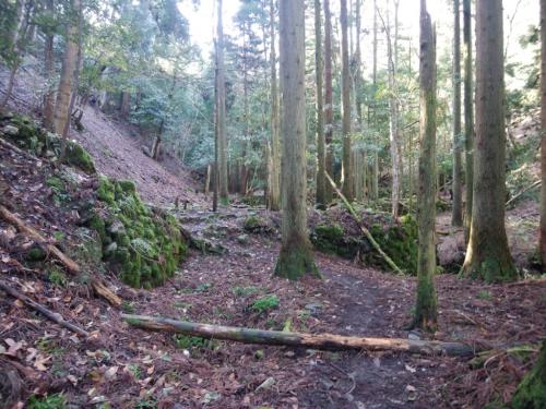 昔は廃村があったのか石垣があちらこちらにある