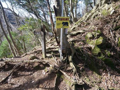 汗拭峠まで登ってきました。まあここから本格的にスタートって感じよね