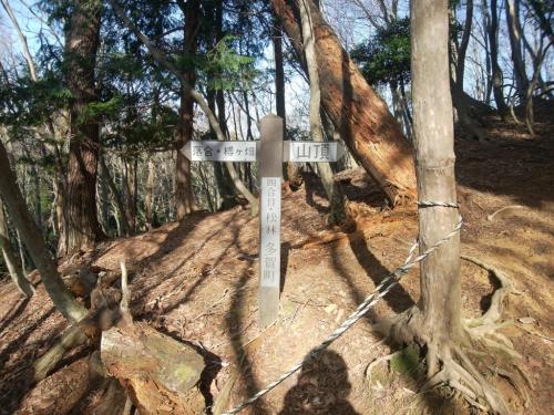 四合目。三合目からちょっと長い感じもしたけど・・・