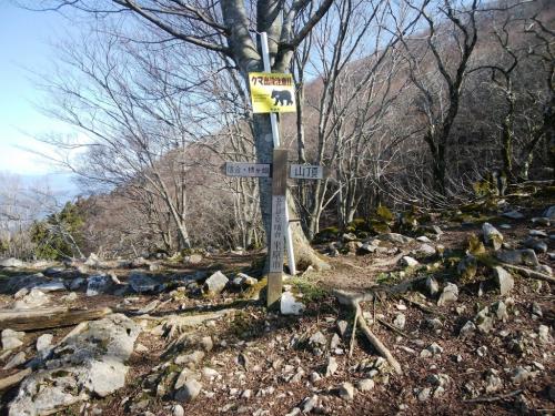 五合目の見晴台に到着