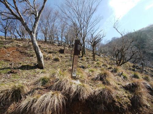 六合目。この辺りから滑りやすい泥だらけの道を登っていくことになる