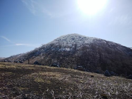 頂上付近は霧氷があった。これはラッキーだ