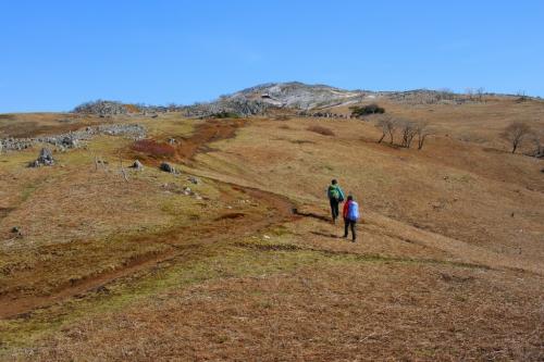 いい感じですなあ