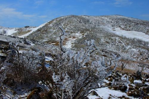 霧氷とピーク。これもなかなかグッドな景色