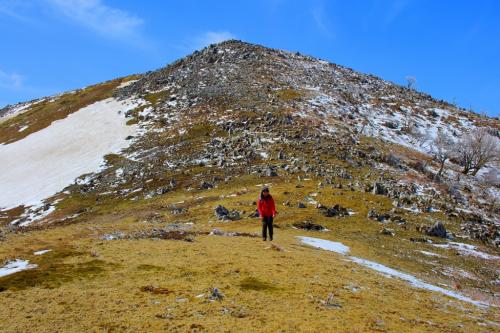 さてさて霊仙山の頂上に向かう。こまっちゃんとピークがまた絵になるね
