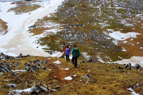 ピーク目指して歩くこの風景がなかなかグッド。とても1000m級の山とは思えないです