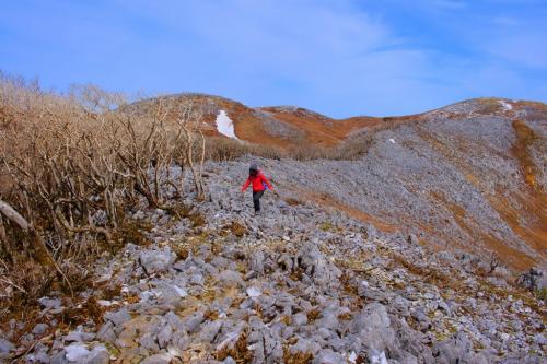 何度も言うようだけど、岩がすごくてとても1000mの山とは思えない景観