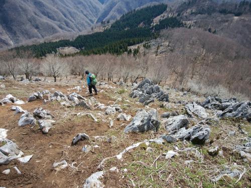 ここからはしばらく急斜面の下りになる