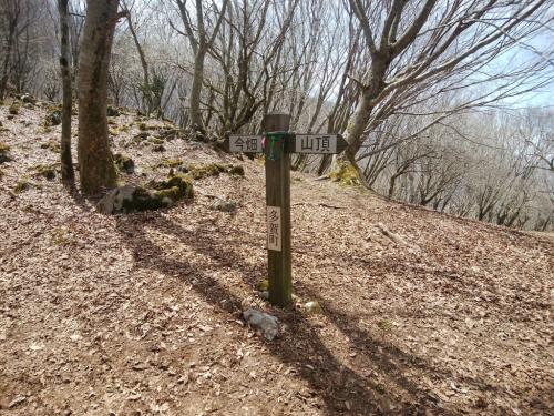 ここで道標がでてきた。今畑へ