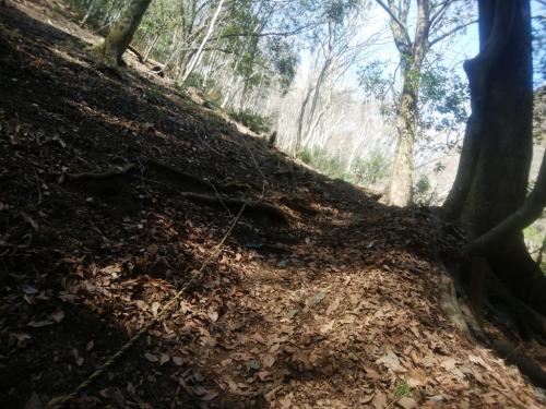 汗拭峠までは最後、急登を登ることになる。ヒーヒーいいながらさっさと進んでいく