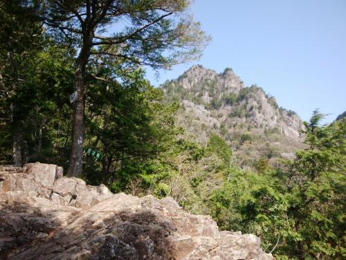 ここで山容が見えた。岩だらけなのでテンションが結構あがっていた