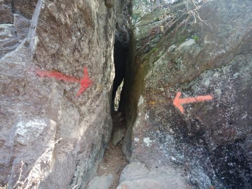 この間を通っていくらしいがメタボ測定器かこれは！？意外にすっと行けた