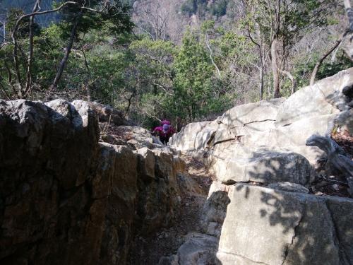 えっちらほっちら岩場を登ってくるよっこさん