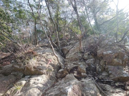 ここからも岩場の登りになる