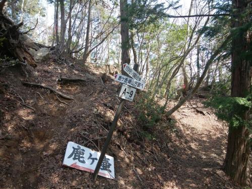 ここでちょっと尾根からそれて