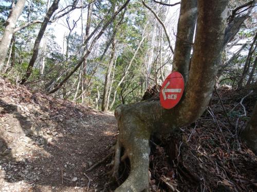 地蔵岳へ向かう