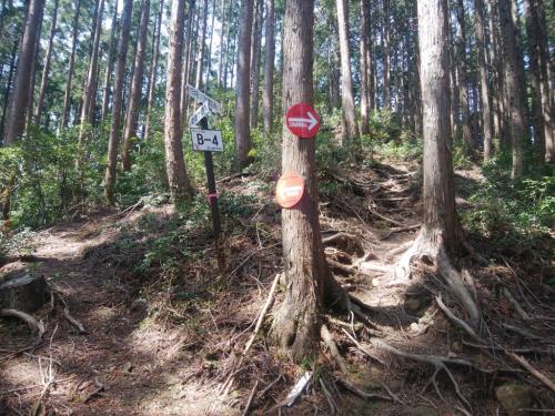 さっきのルートに戻って雪彦山の三角点を目指す