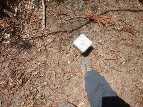 ちょっと離れた場所に三角点はあった