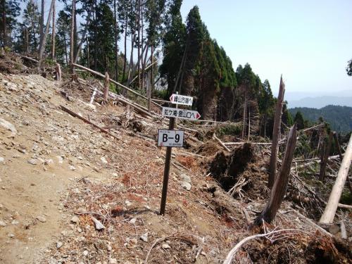 942ｍ峰分岐から少し行ったところで谷筋に下りていく分岐があった。まず虹ヶ岳を目指し谷を一気に下っていく