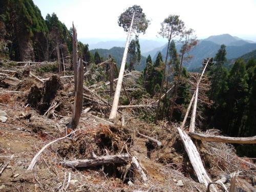 ずいぶんと荒れていた