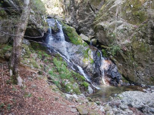 これが虹ヶ滝！？どこにも虹ヶ滝の看板がなかったので。この先から一旦沢を巻く道に行くので沢筋から外れる